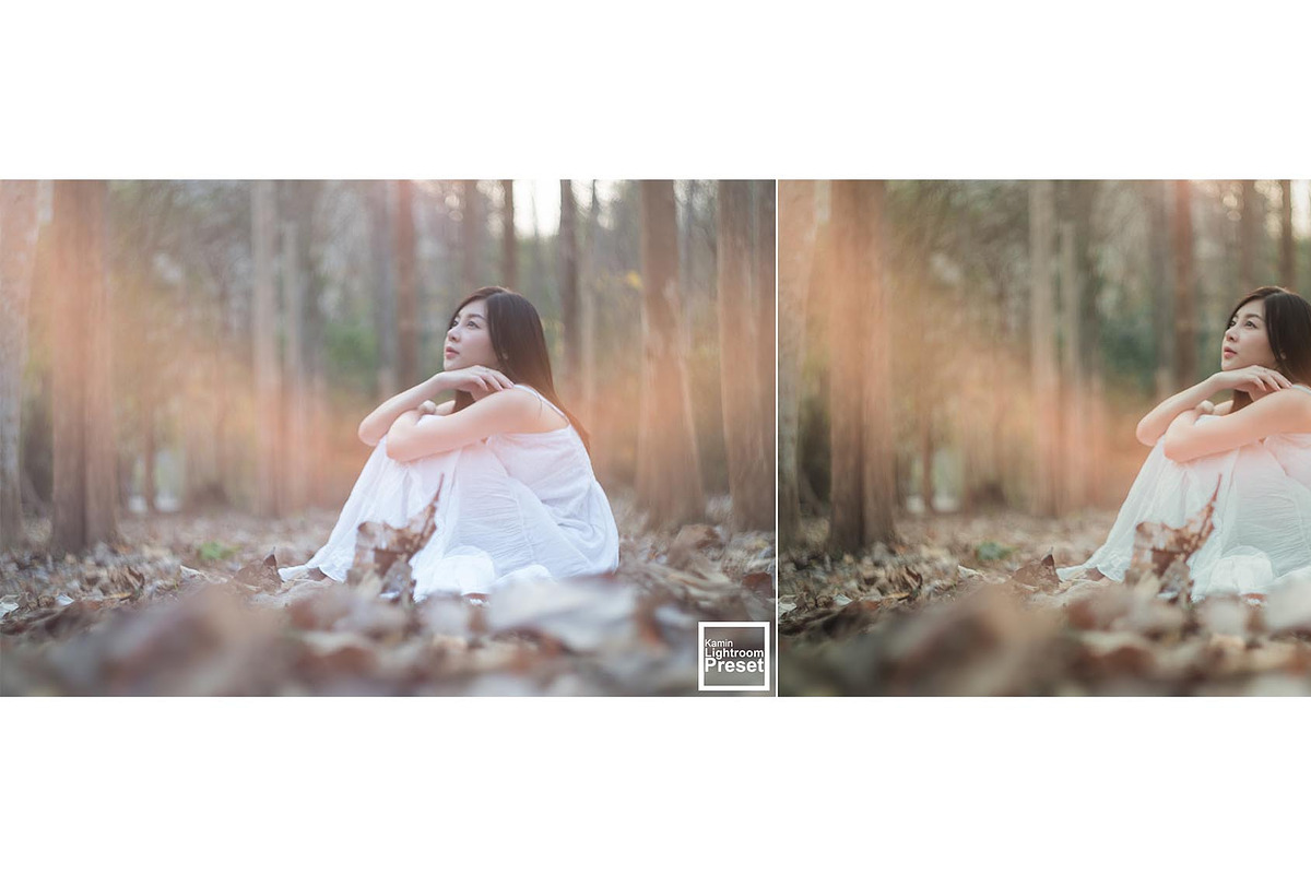 Kamin Fall Season, an Action Add-On by Kamin Lightroom Preset (Photo 17 of 17)