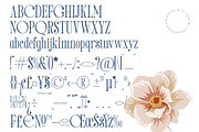 Salgirfen Modern Serif Font, a Serif Font by timelesstype.co (Thumbnail 18 of 20)