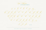 Stipa Willington, a Script Font by Alcode (Thumbnail 9 of 11)