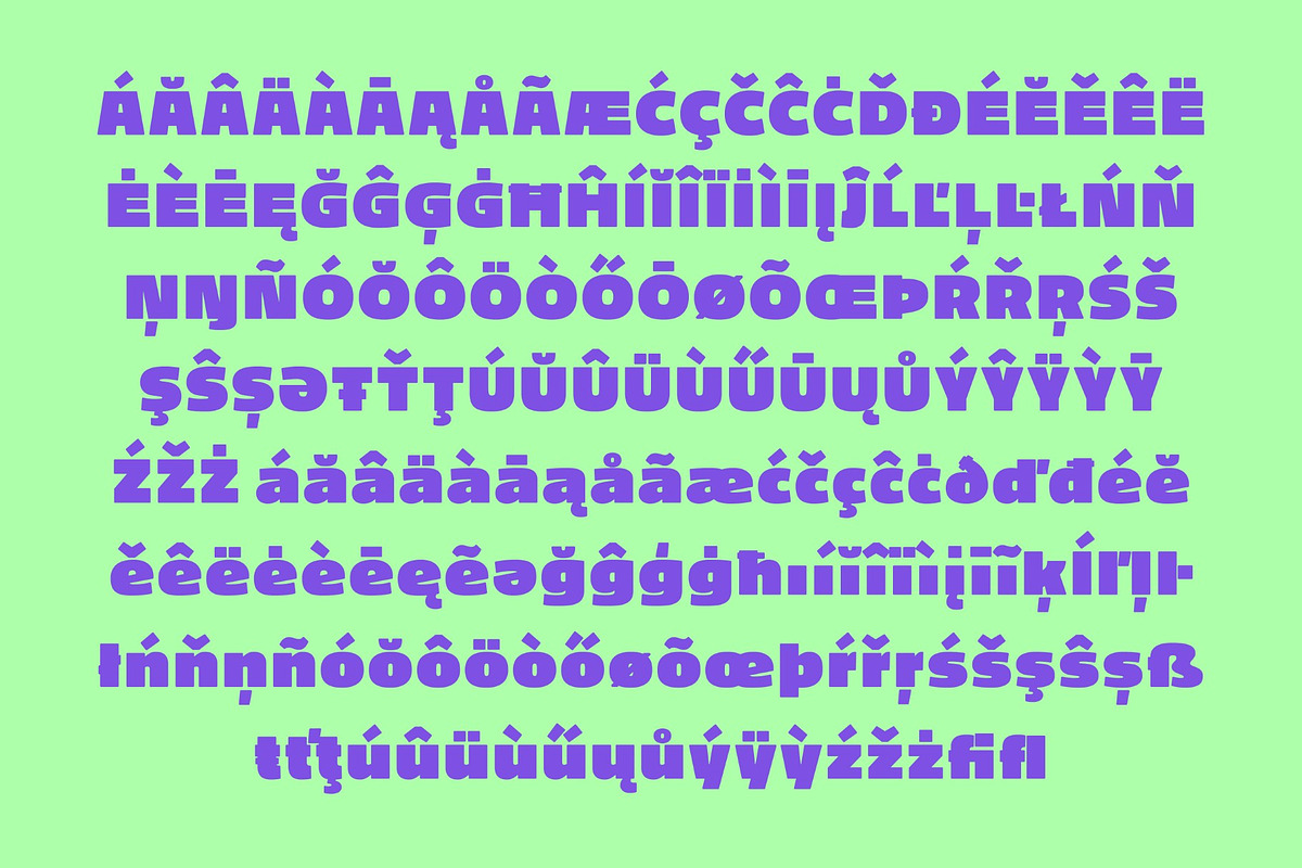 Vlafien, a Sans Serif Font by graphicook (Photo 4 of 10)