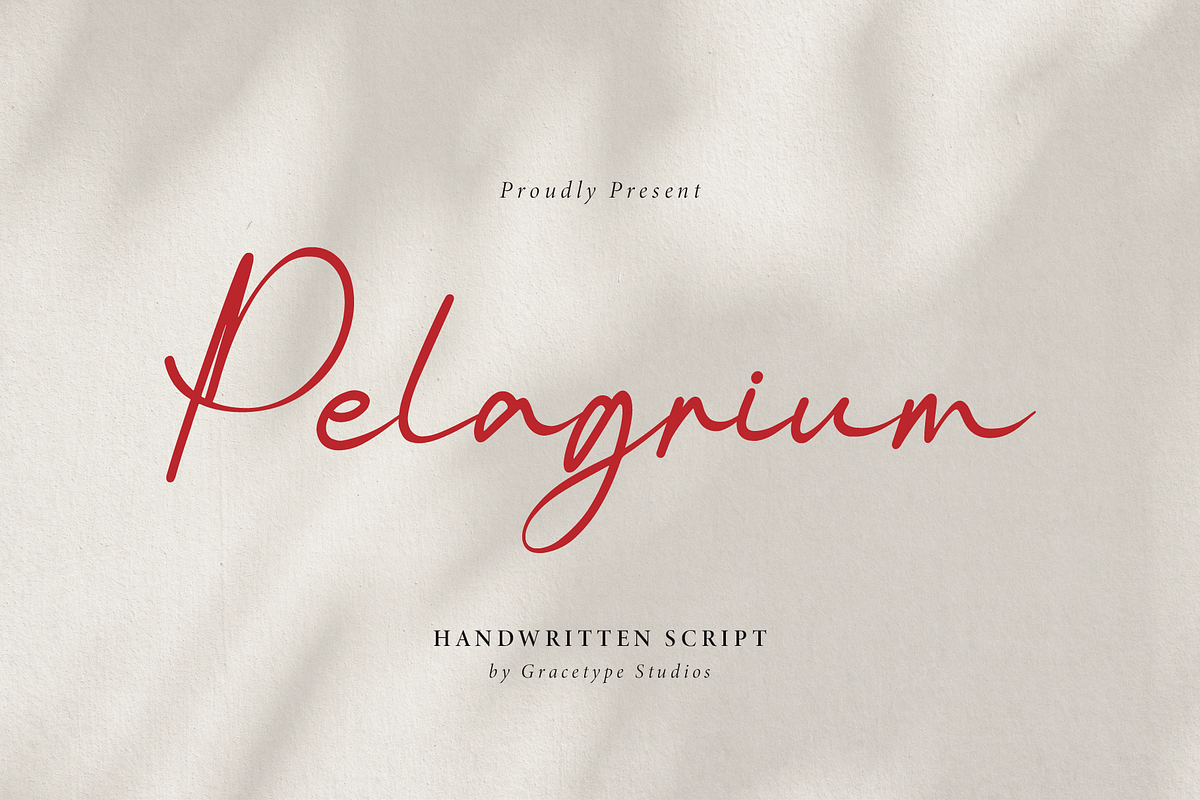 Pelagrium | Handwritten Script, a Script Font by gracetype_studio (Photo 1 of 12)