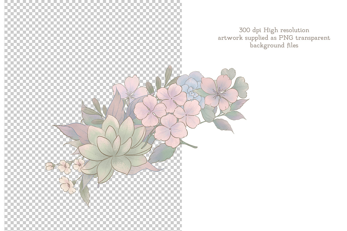 Blush Autumn Floral collection, a Seasonal Illustration by AlenaVlasko stock Market (Photo 2 of 9)
