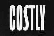 Costly Sans Serif Font, a Sans Serif Font by Graphicxell (Thumbnail 1 of 10)