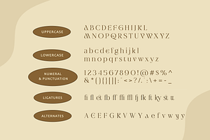 Swagume - Feminine Beauty Serif