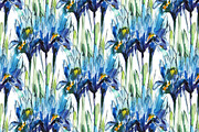 Irises thank you, a Texture Illustration by coconut_forest (Thumbnail 4 of 5)