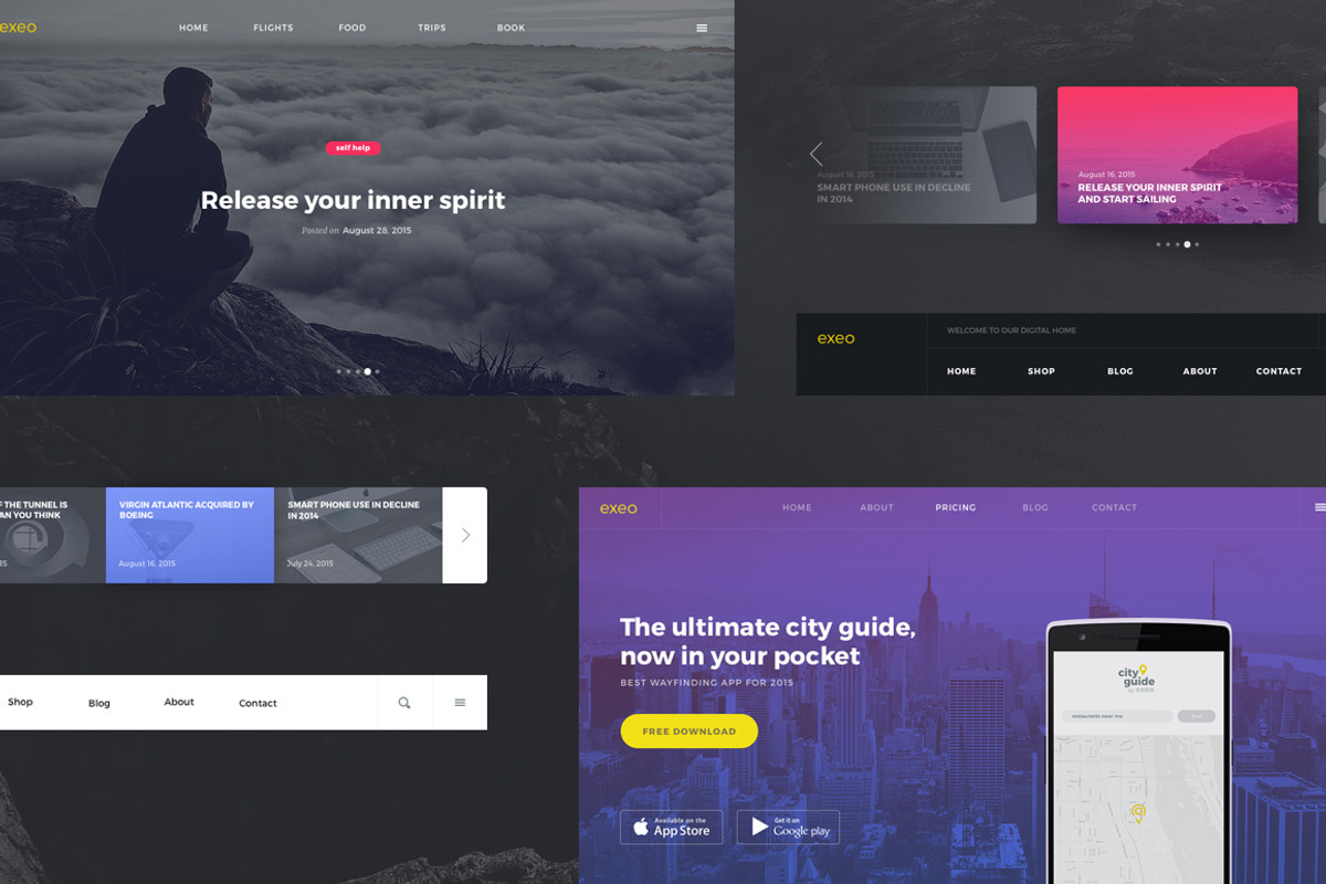 Exeo UI Kit, an UI Kit Template by erigon (Photo 2 of 4)