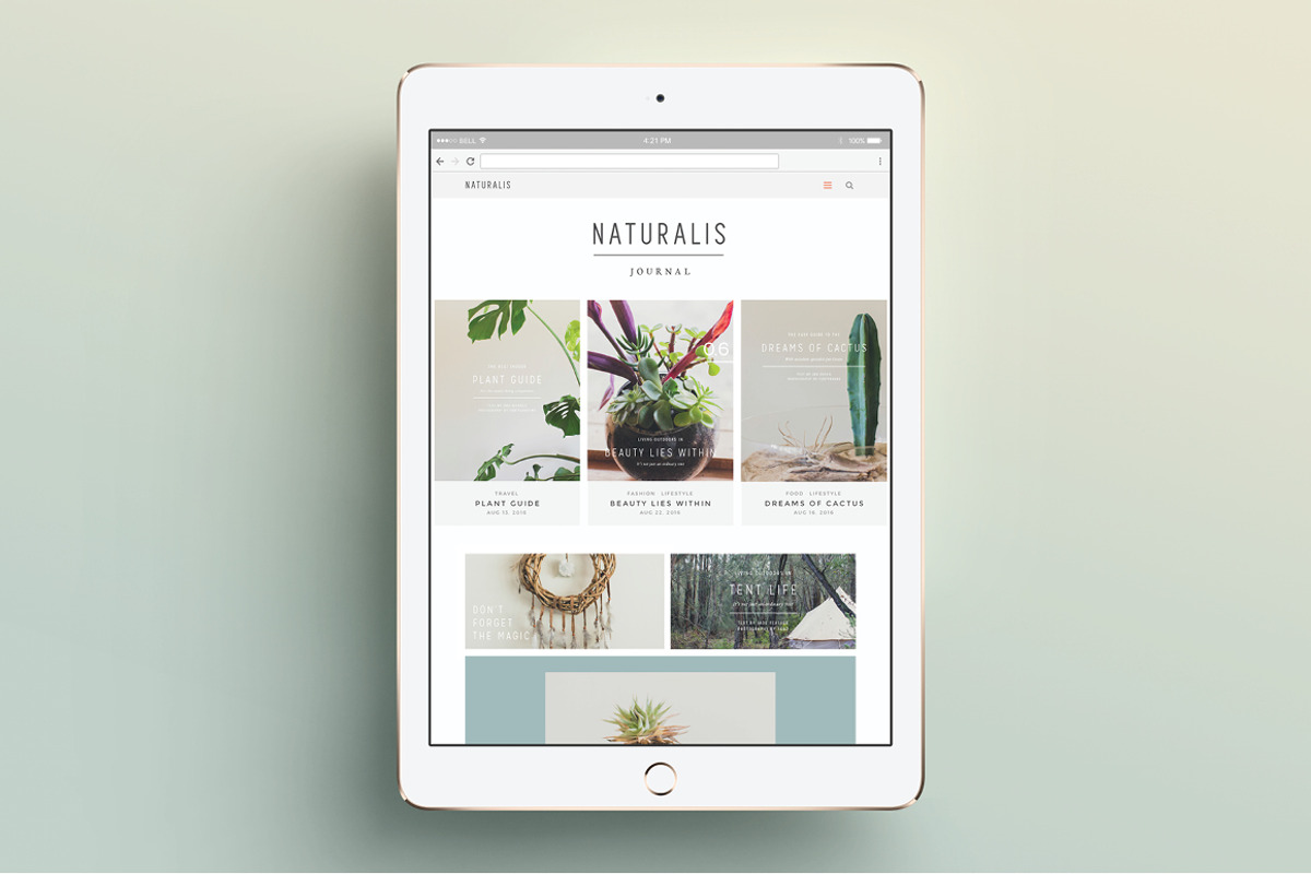 NATURALIS  Social Media BUNDLE, a Social Media Template by 46&2 Collective (Photo 4 of 11)
