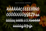 Calliora – Modern Handwritten Font, a Handwritten Font by overlaytemplates (Thumbnail 5 of 5)