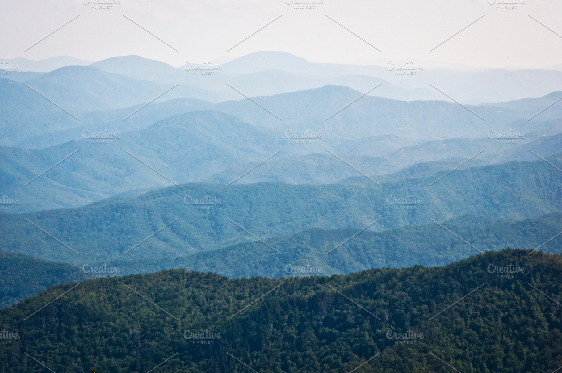Blueridge Parkway North Carolina