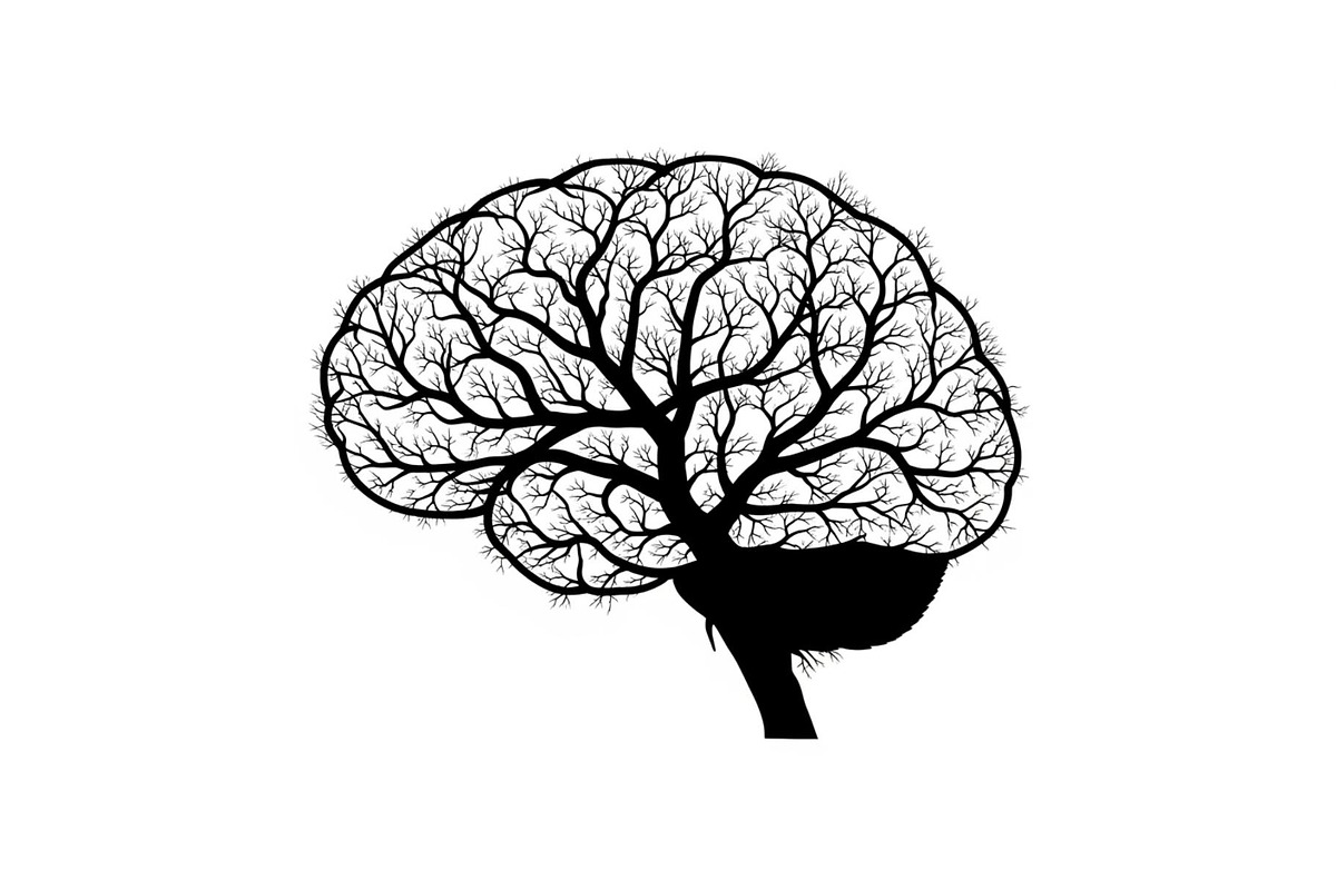 Brain Tree Knowledge Design Bundle, an Illustration by Gaye Art (Photo 25 of 31)