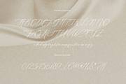 Rossaline Script, a Handwritten Font by Pinakiaa Studios (Thumbnail 3 of 10)