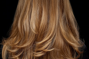 Back view of a woman's blonde, layered hair with waves and highl, a Photo by Studio ANNA
