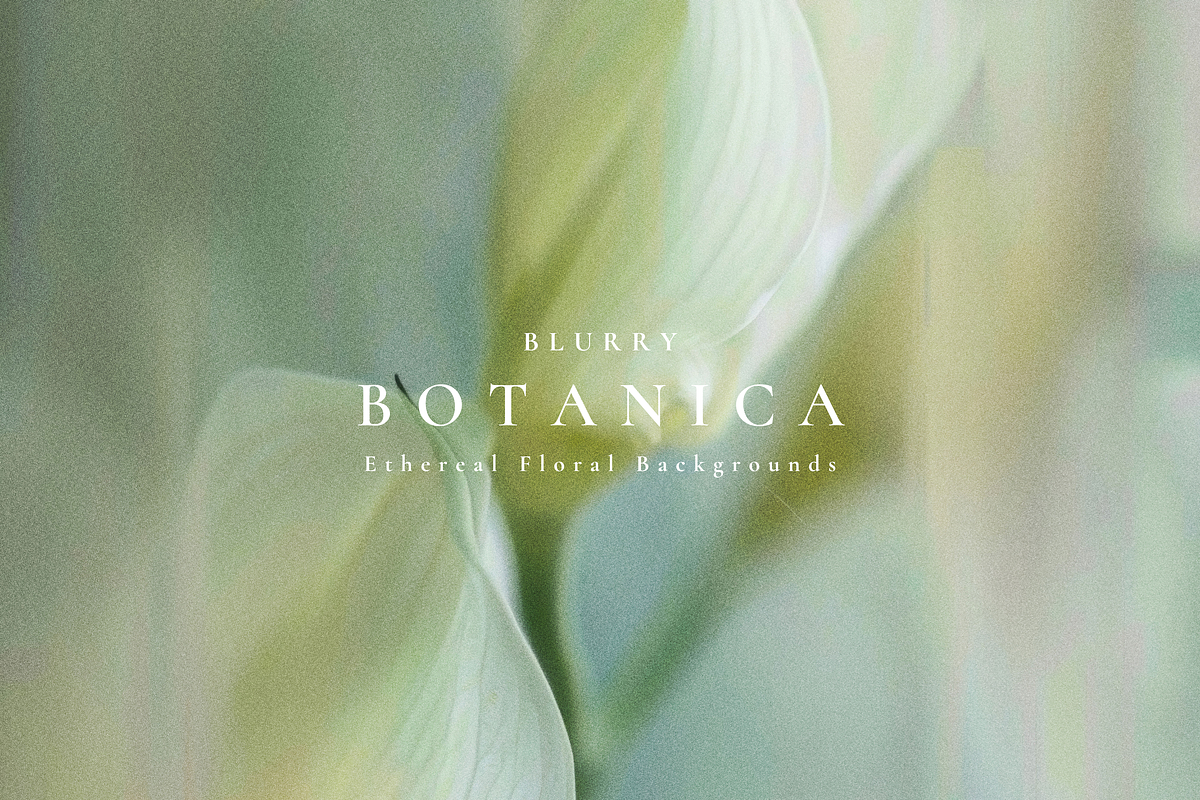 Aesthetic Blurry Floral Backgrounds, a Background Graphic by Altea Design Studio (Photo 6 of 14)