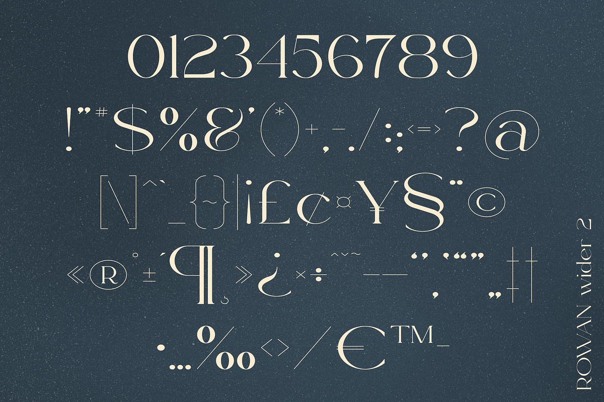 Rowan typeface - 116 styles & script, a Serif Font by VP Fonts (Photo 11 of 18)