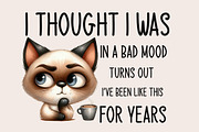 Funny Cat Sarcastic Sassy Bundle Png, an Illustration by Designworld (Thumbnail 5 of 11)