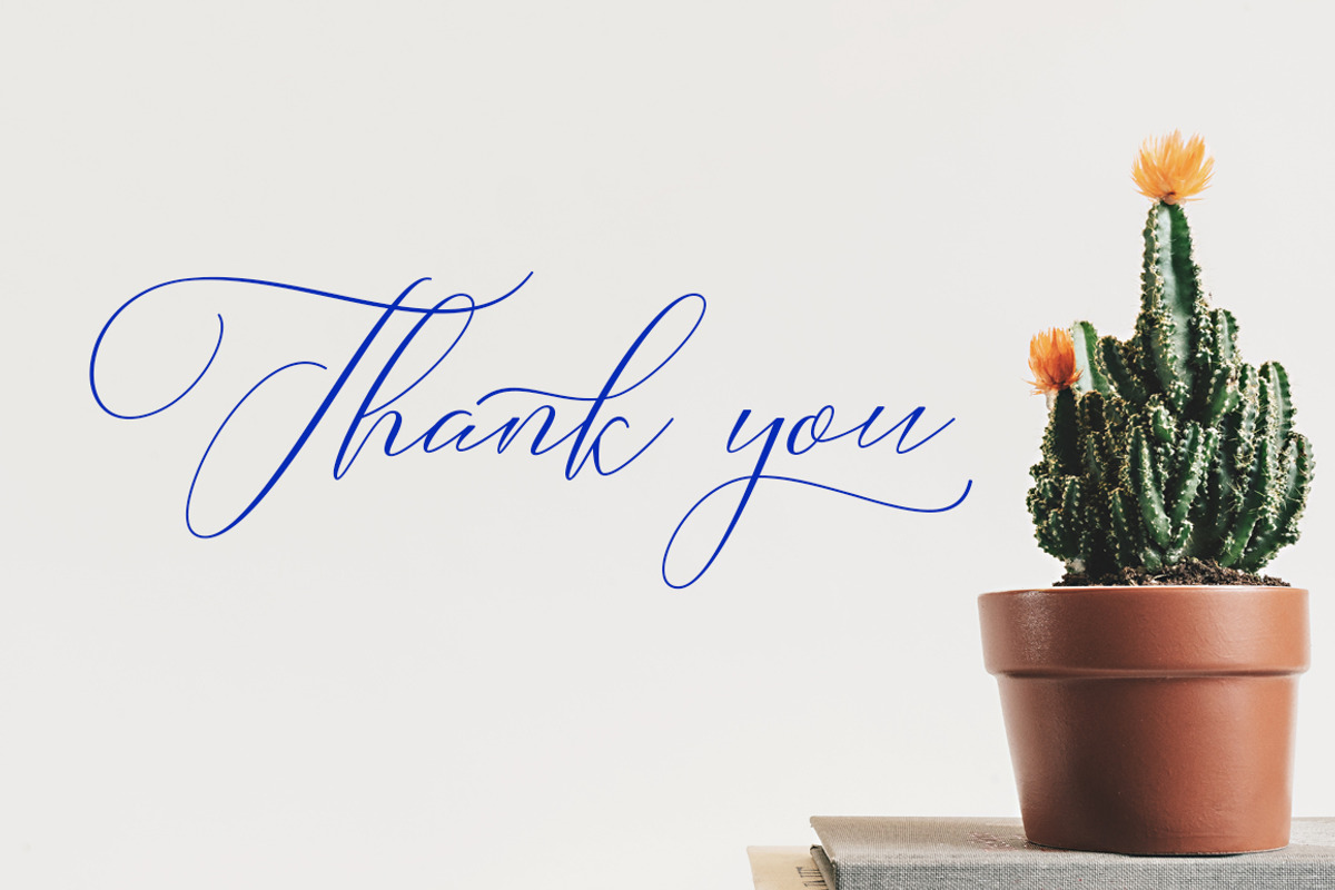 Camelia Calligraphy Modern, a Script Font by Teweka (Photo 11 of 11)