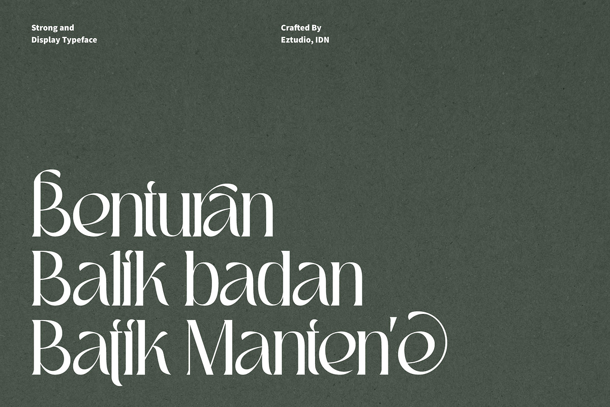 Ez-Sanjaya - Modern Decorative Font, a Serif Font by Eztudio (Photo 2 of 12)