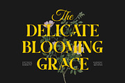 Faseon || Modern Classy Serif Font, a Serif Font by Ermedia Studio (Thumbnail 5 of 10)
