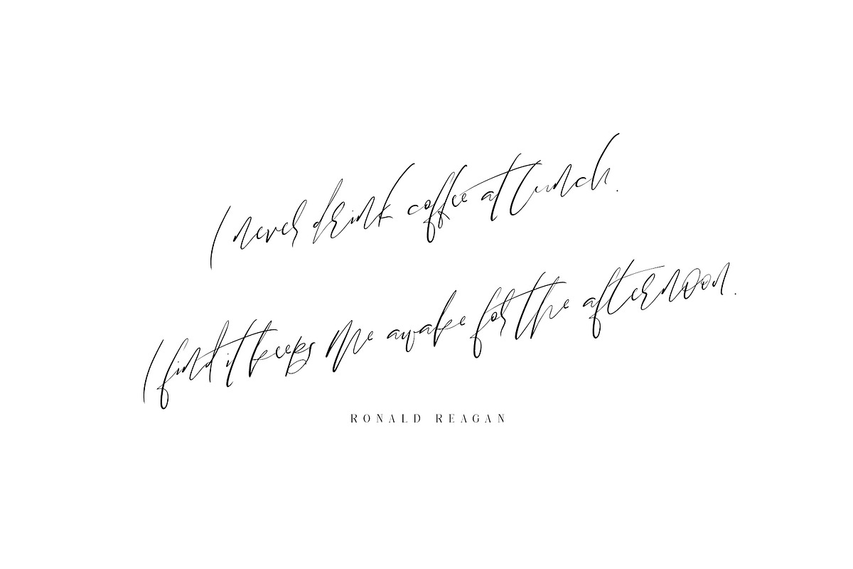 Oakwood Beach Script Font preview 4