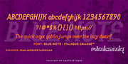 Blue Note™, a Serif Font by MINDCANDY (Thumbnail 4 of 8)