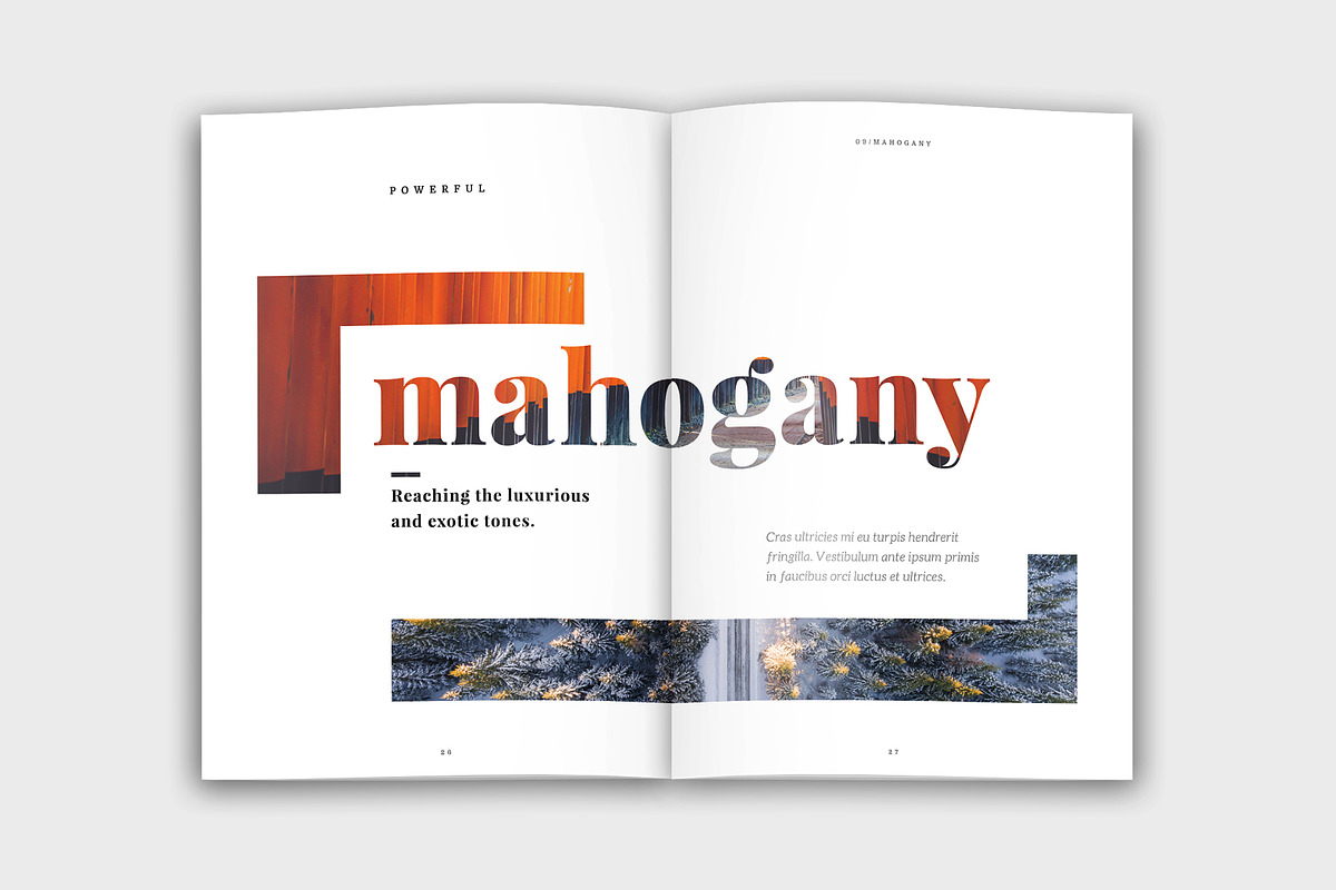 Colora - Bold, Clean Portfolio, a Brochure Template by velvetmade.designs (Photo 14 of 17)