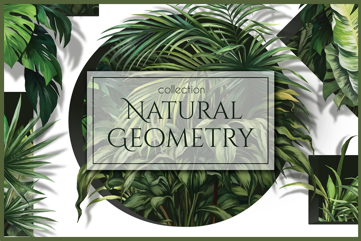 Natural Geometry, a Wallpaper Graphic by art_gallery (Photo 1 of 11)