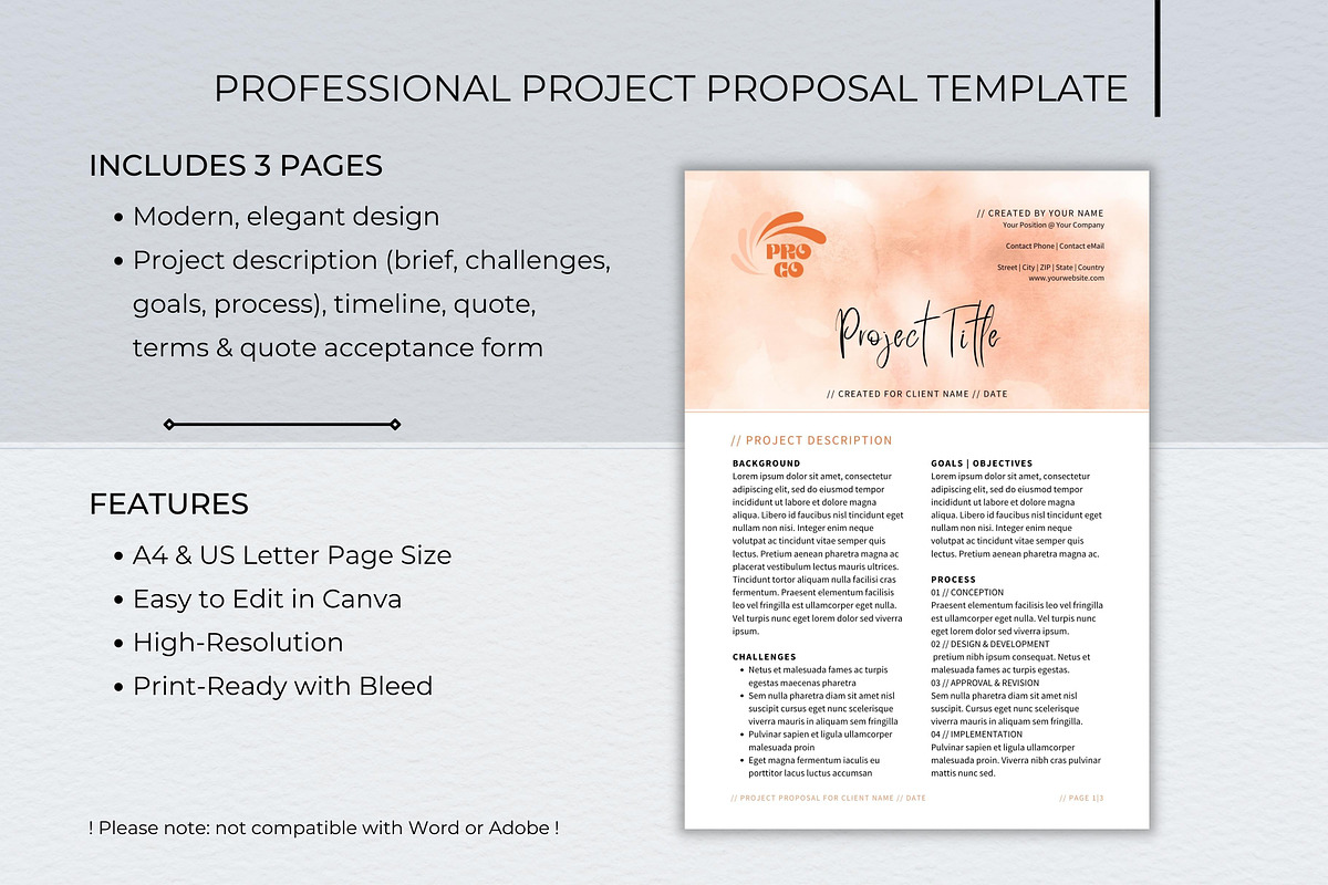 Professional Project Proposal Deck preview 2