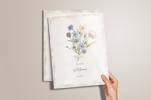 Watercolor Field Flowers Collection