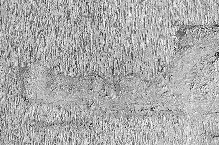 Texture of the grey plaster bark beetle on the wall. Seamless texture., an Abstract Photo by Red Hot Chili Pepper Shop