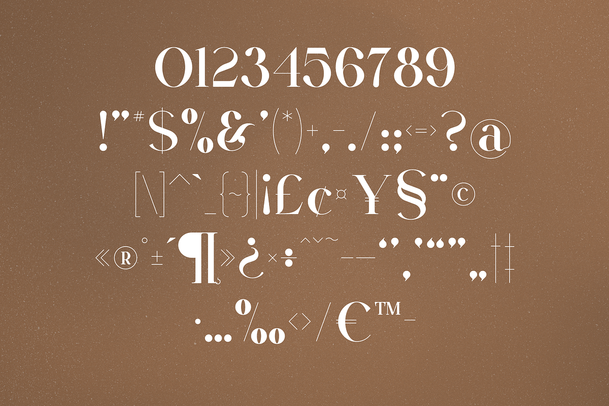 VSOP - elegant serif, 70 fonts, a Serif Font by VP Fonts (Photo 17 of 21)