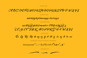 Achievement Script, a Script Font by vatesdesign (Thumbnail 7 of 7)