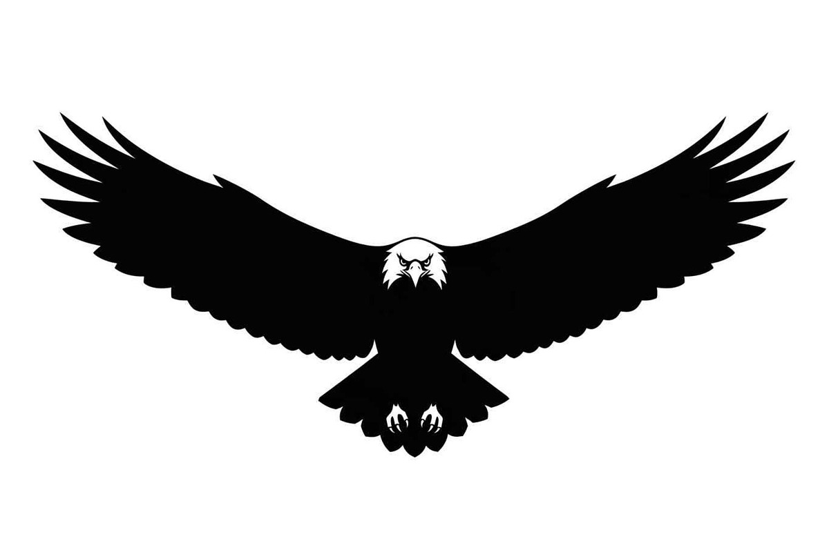 50 Flying Eagle Silhouette Vector Bu, an Illustration by Designs_River (Photo 28 of 51)