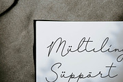 Pasttemy | Monoline Stylish Script, a Script Font by Denustudios (Thumbnail 14 of 15)