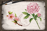 US State Flowers Part 2 Illustration, a Decorative Illustration by DioFlow (Thumbnail 2 of 5)