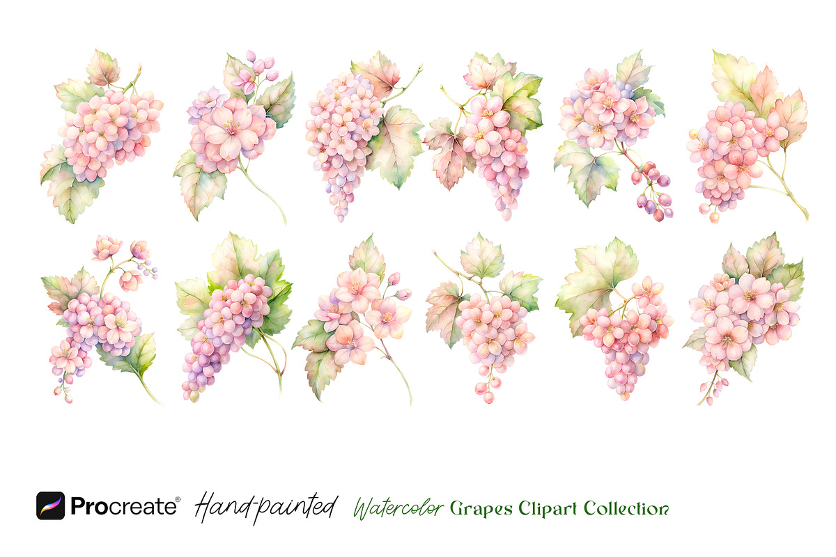 Watercolor Grapes Clipart, an Object Illustration by crafty (Photo 7 of 11)