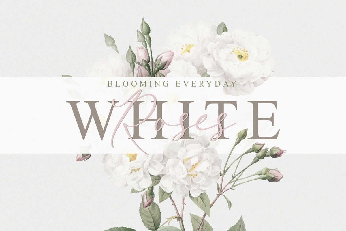 Wistania - Modern Calligraphy, a Script Font by Koplexs Studio (Photo 11 of 12)