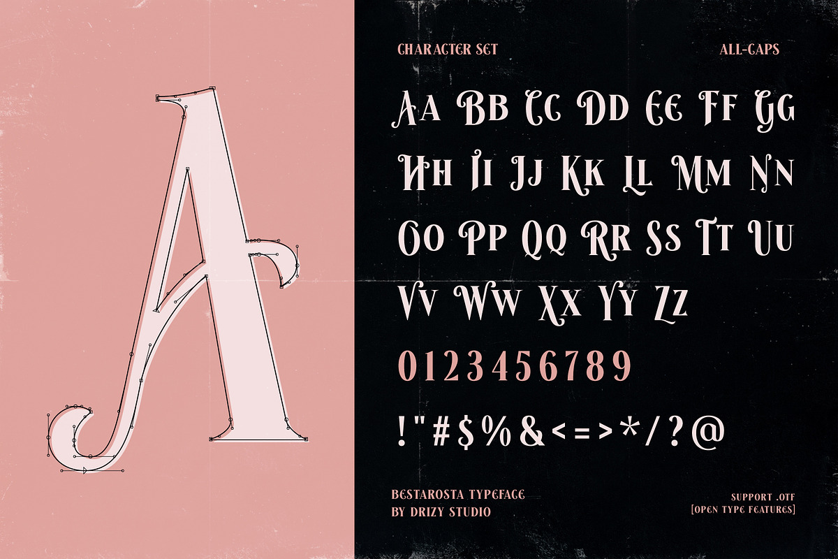 Besta Rosta - Romantic Classic Font, a Serif Font by Drizy (Photo 4 of 10)