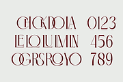 Glasvia, a Serif Font by zaaintype (Thumbnail 9 of 11)