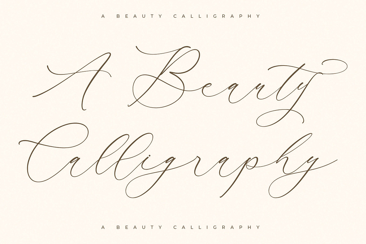 Waltney Flores A Beauty Calligraphy, a Script Font by Storytype Studio (Photo 4 of 15)