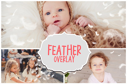 Feather Photo Overlays