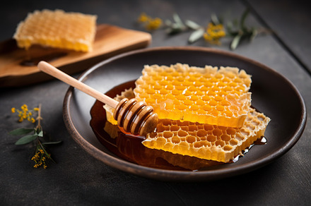 Honeycomb with honey and honey dipper on wooden background, a Food & Drink Photo by AlyaAnd