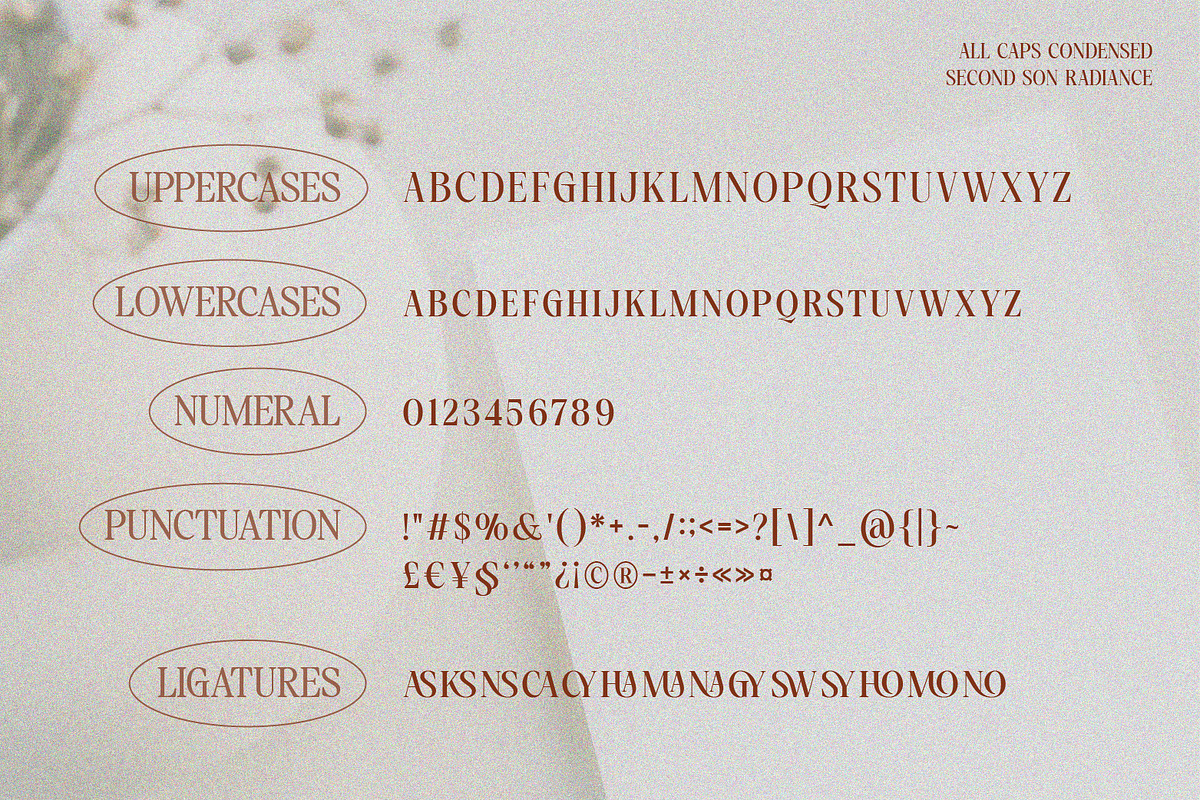 SS Calivoca - Chic All Caps Serif, a Serif Font by Typocracy Studio (Photo 10 of 10)