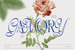 Garmony Typeface