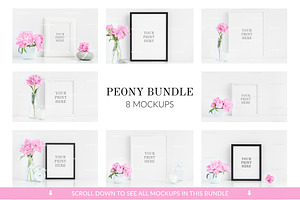 Bundle - Frame mock up peonies vol.1
