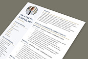 Executive Resume Template, a Resume Template by Anjum Ilyas (Thumbnail 7 of 7)