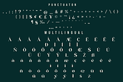 Blue Village – Modern / Vintage Font, a Serif Font by Issam Type (Thumbnail 10 of 12)