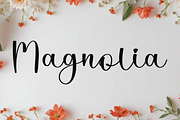 Outdoor Sunlight, a Handwritten Font by FreshTypeINK (Thumbnail 2 of 8)