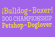 Skippie -60% All Bundle, a Font by Rodrigo Typo (Thumbnail 5 of 11)