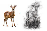 Realistic Drawing & Sketch Effect 2, an Action Add-On by MRI STUDIO (Thumbnail 4 of 12)