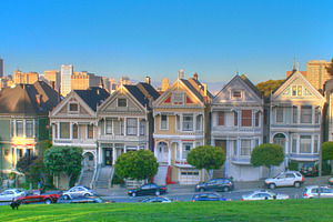 Painted Ladies